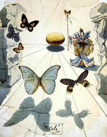 Vole, vole mon papillon